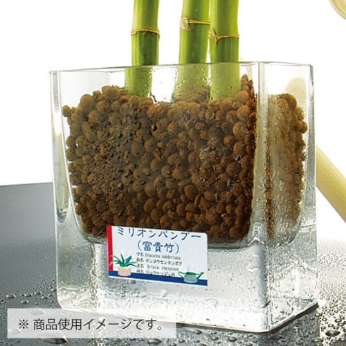 KOKUYO Color Laser Color Copy Water Resistant Label 8 Sides 20 Sheets LBP-WP6908N