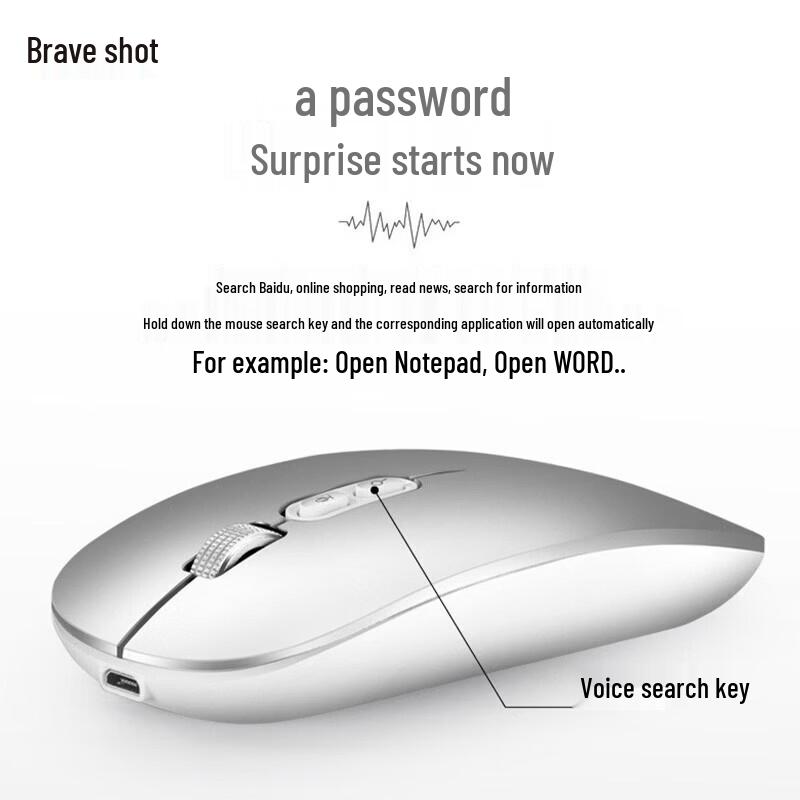 LEISE LS-M103 A1 Voice Smart Wireless Mouse