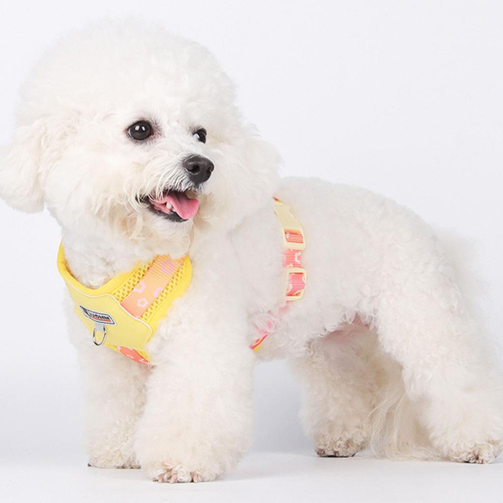Bright Color Dog Harness Vest for Small Dogs Adjustable Design with Breathable Nylon Fabric for Comfortable Walking Use