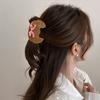 Cute Acetate Hair Crab Clip Toast Delicious Food Claw Clip Lovely Croissant Shark Clip  Daily