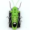 Solar Grasshopper Toy Puzzle Children Selected Gift Simulation Insect Gift Boys And Girls Science Education Funny Moving Toy Kid