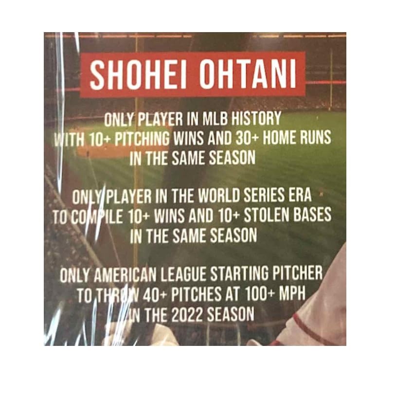 

[Stadium Exclusive] Shohei Ohtani 100-Piece Jigsaw Puzzle (June 27, 2023)