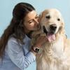 Classic Dog Paw Silicone Strap For Apple Watch Band 44mm 40mm Correa 38 42mm bracelet iwatch Series ultra 8 7 SE 6 5 4 3 49mm 45 mm 41mm