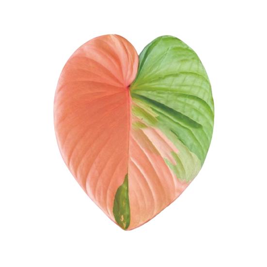 Yousheng Simulated Tropical Leaf Decoration Acrylic Epoxy Resin Green Leaf Sign DIY Refrigerator Magnet Mobile Phone Airbag Holder Accessories