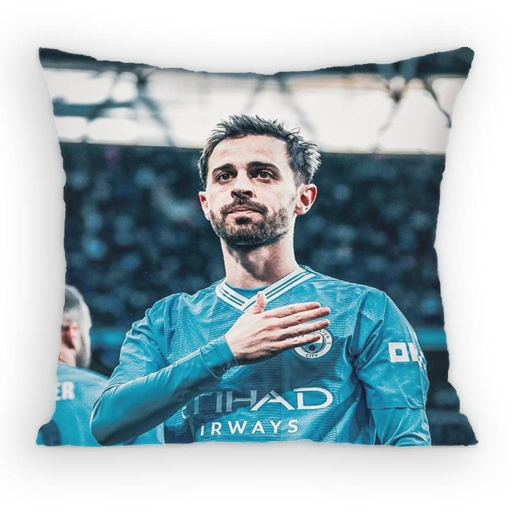 BBernardo SSilva  MidCourt Pillow Case Antidustmite Pillowcase Invisible Zipper Silky Short Plush Sofa Cushion Cover
