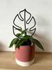 Podpora do roślin pnączy podpórka kwiatów pnących drabinka monstera m 32 cm