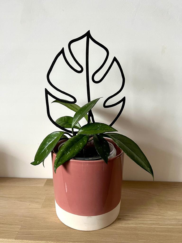 Podpora do roślin pnączy podpórka kwiatów pnących drabinka monstera m 32 cm