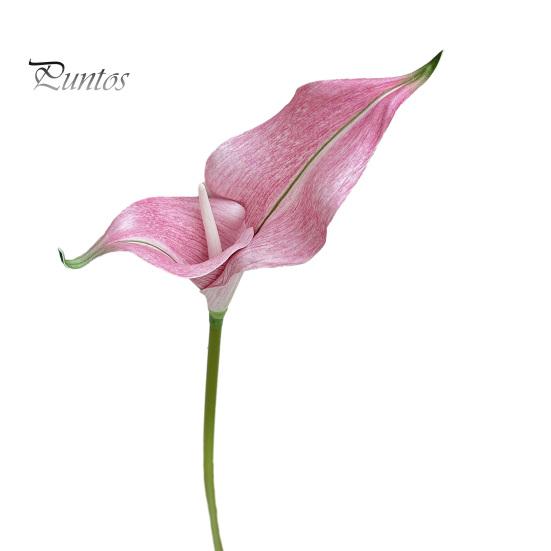 EVA Material Flowers Artificial Calla Lily Flowers, Flexible Branches Realistic Faux Flower, Retro Home Decor Soft Touch Fake Lilies for Wedding