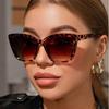 2025 Women's Cat Eye Punk Sunglasses: European-American Street Style, Face-Slimming Fashion Trend.