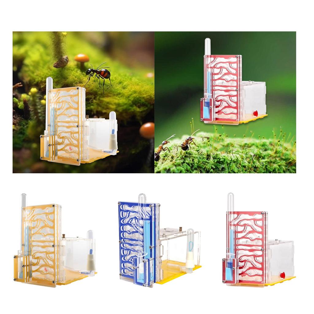 ANT Housing Nest DIY Funny Toys with Feeder Acrylic Habitat for Children's Day Lovers Decoration Tabletop Science Observation