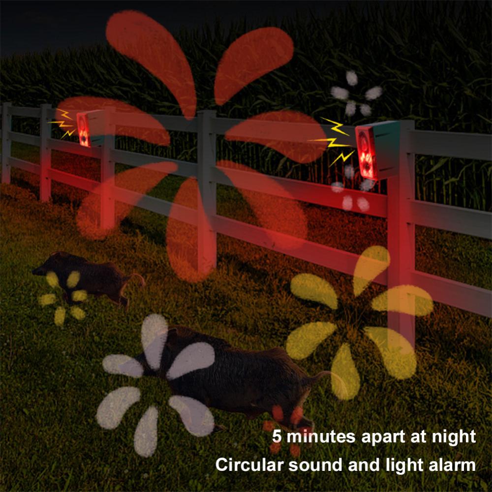 Собачий лай и выстрелы, уличное/домашнее/фермерское