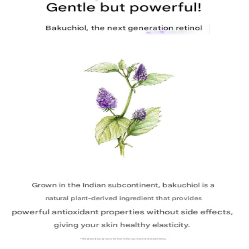 NACIFIC Świeże zioła oczyszczający olejek (300 ml)