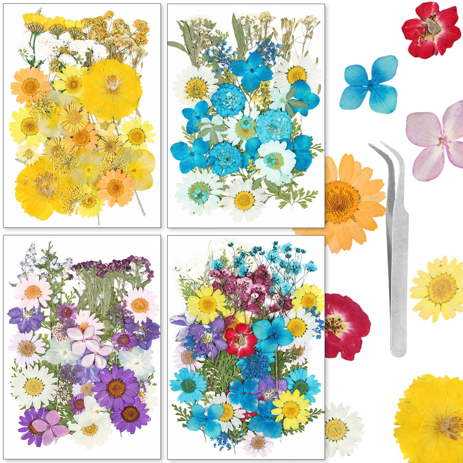 160 Pcs Dried Pressed Flowers for Resin Molds Colorful Real Pressed Flowers Natural Dry Flowers and Leaves Kit with Tweezers DIY