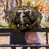 Owl and Leaf pattern, automatic folding umbrella, portable and foldable design, 8 ribs, a Christmas or birthday gift.
