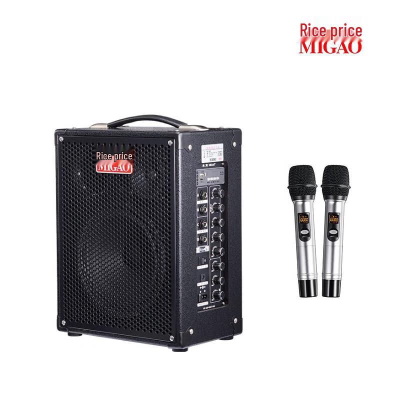 MiGao MG820A-LI Portable Outdoor Instrument Speaker