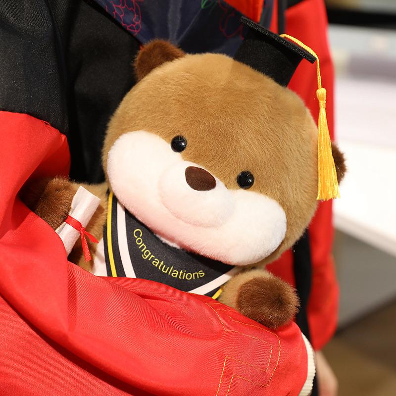 Creative 25cm Doctor Graduated Otter Animals Dolls Throw Pillow Funny Toys Dolls Cartoon Graduation Gifts for Students Decor