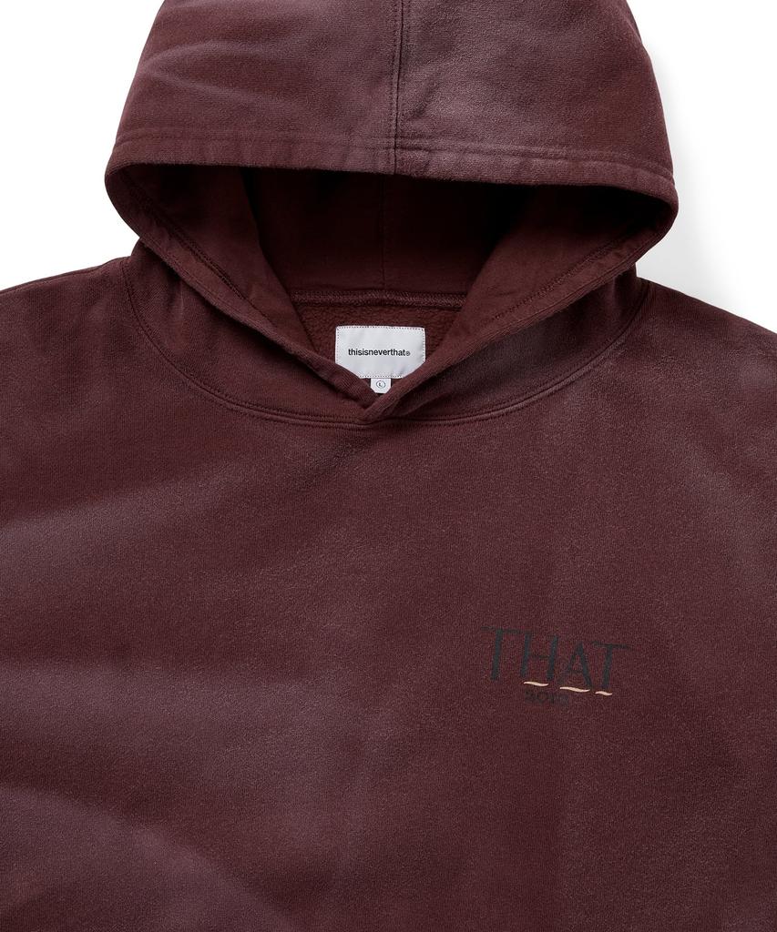 Faded That 2010 Hoodie Burgundy