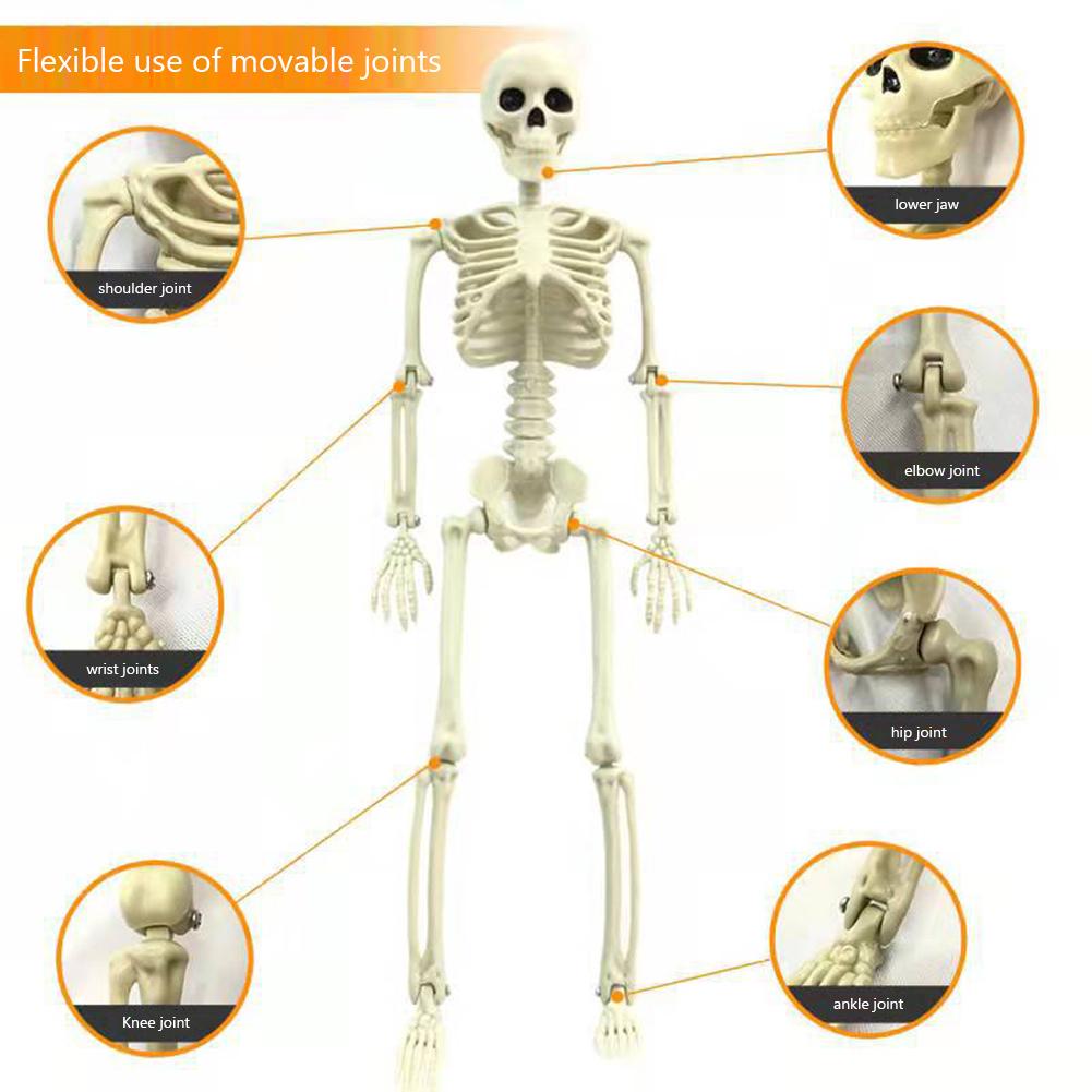 2025 Halloween Skull Skeleton 90cm Posable Skeleton Human Shape Bones Halloween Party Home Decorations Haunted House Horror Prop