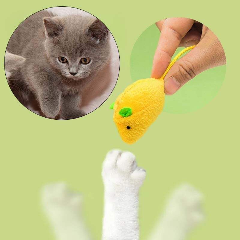Cat Plush Toy Interactive Simulated Mouse Catnip Kitten Toy Training Chase Bite-resistant Cat Toy Set