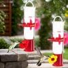 Hummingbird Feeder Window Leak Proof Suction Cup Waterer 2 Pack Flower Ports Design Hummingbird Feeders For Outdoors For House
