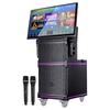 ST-2118 Pro Outdoor Mobile KTV Speaker with 35-inch HD Display