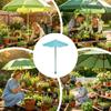 Mini-Pflanzenregenschirm UV-Schutz Gartenpflanzen-Sonnenschutz Setzlinge Sonnenschirm Topfpflanzen