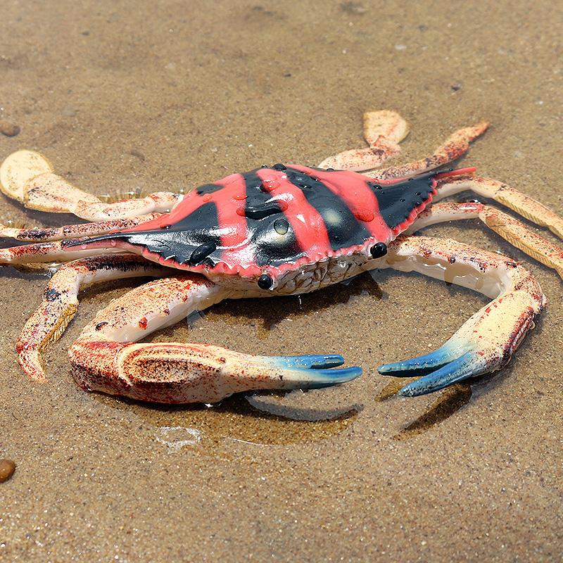Oenux Simulation Ocean Sea Life Animals Model Lovely Crab Action Figures Toy Cake Toppers Collection Jouet Kids Education Gift