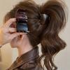 1pcs Matte High Ponytail Fixed Artifact Hair Grab Clip, Female Premium Sense Shark Clip Back Head Hairpin Hair Accessories