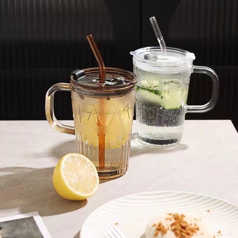 Tingle Portable Glass Tumbler with Straw and Handle