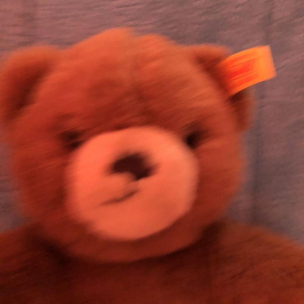 [USED] Steiff Teddy Bear