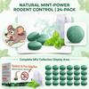Confezioni di Olio di Menta Piperita - Naturali e per Uso Interno ed Esterno