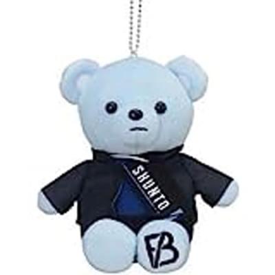 ANIMAL COORDY More Plus Plush Toy BEFIRST -ShiningOne- (SHUNTO)