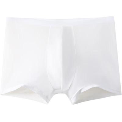 Boys' & Youth Disposable Antibacterial Boxer Briefs