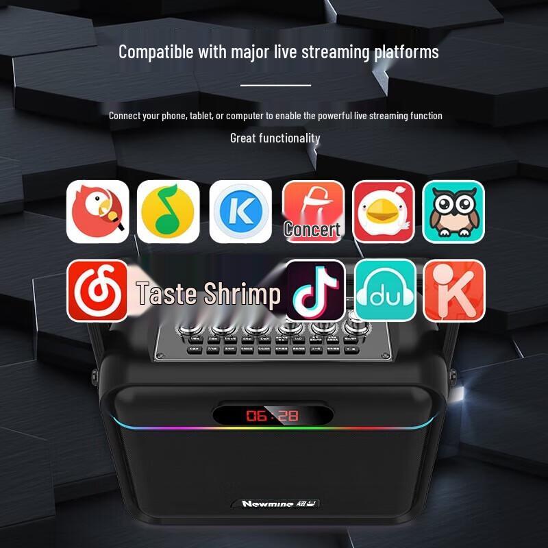 Newman K112 Portable Bluetooth KTV Speaker with Microphone