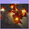 Christmas Maple Pendant Leaves Lighted Fall Garland 102030 Led Lights String