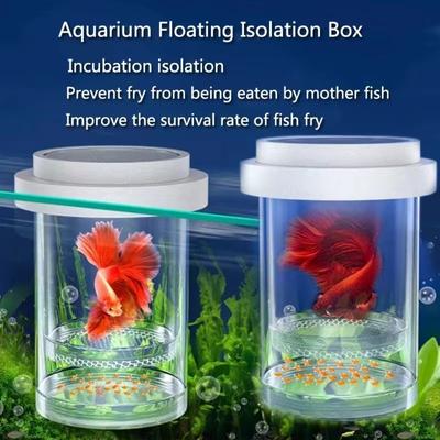 Caixa de Isolamento para Criação de Guppy Camarão Caixa Incubadora de Alevinos Caixa de Criação Aquário