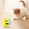 Interaktives Haustierballspielzeug Bunte Hohlkugel Spielzeug für Hund Hamster Chinchillas