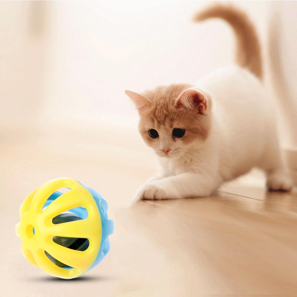 Interaktives Haustierballspielzeug Bunte Hohlkugel Spielzeug für Hund Hamster Chinchillas