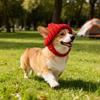 Knitted Pet Hat with Ear Holes Winter Warmer Dog Hat Elastic Ear-Exposing Headgear for Dogs & Cat for Small Medium Dogs
