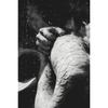 Greek Mythology Body Sculpture Poster Ancient Greek History Prints Canvas Painting Wall Art Pictures Home Living Room Decoration