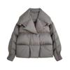 Jaqueta Puffer de Inverno Feminina Casaco Curto de Penas Streetwear Parkas Quentes Mangas Outwear