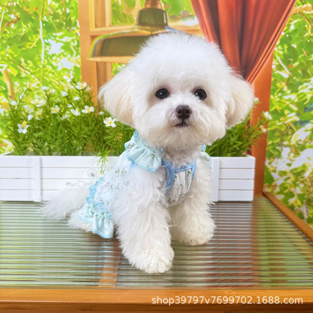 Spring and summer new hollow suspender skirt dog cat clothes pet clothing thin breathable cooling cool clothes sun protection