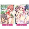 Art Book: Eternal Summer Swimsuit Island