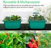 Growing Starting Nursery Trays Seed Starter Kit with Adjustable Humidity Dome and Base Indoor Greenhouse Mini Propagator Seeds