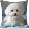 1 Pillowcase, 2D Flat Printing, Single-Sided Printing (No Pillow Core), 17.72*17.72 Inches (45*45 Cm), Non-Real Embroidery, Bichon Frise Playful Pillo