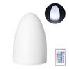 LED Night Light Egg Shaped RGBW Remote Control 16Color Table Lamp for Indoor Home Bar KTV Dining Table