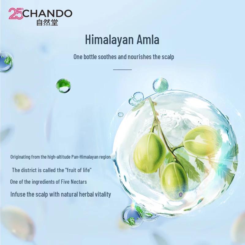 CHANDO Oil Control Volumizing Shampoo