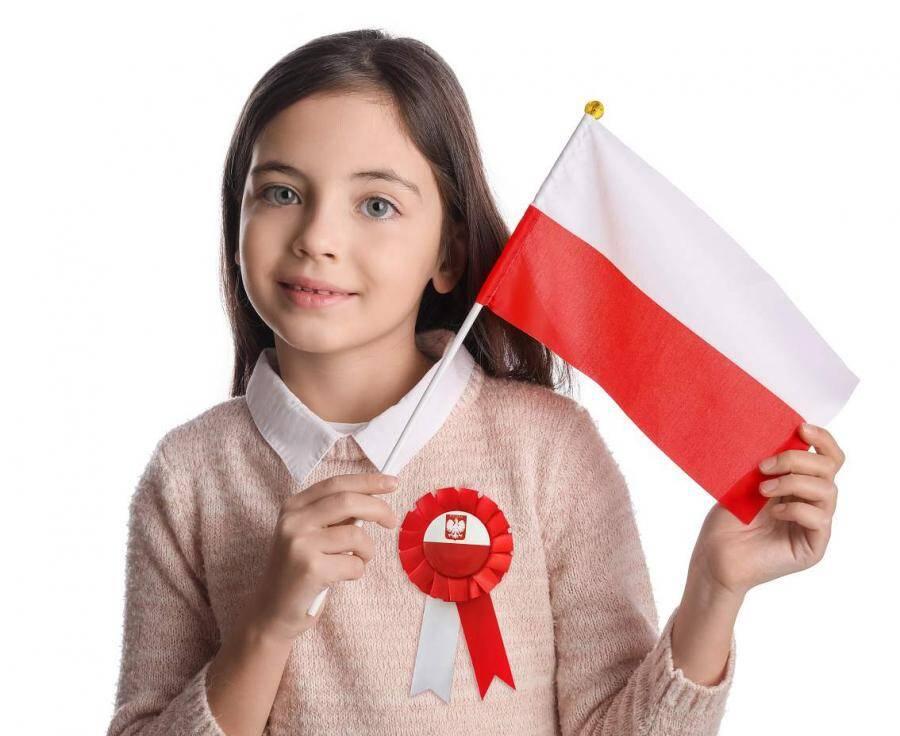 Polnische Flagge, Rot-Weiße Fahnen am Stiel 30 x 45 cm, 10 Stück