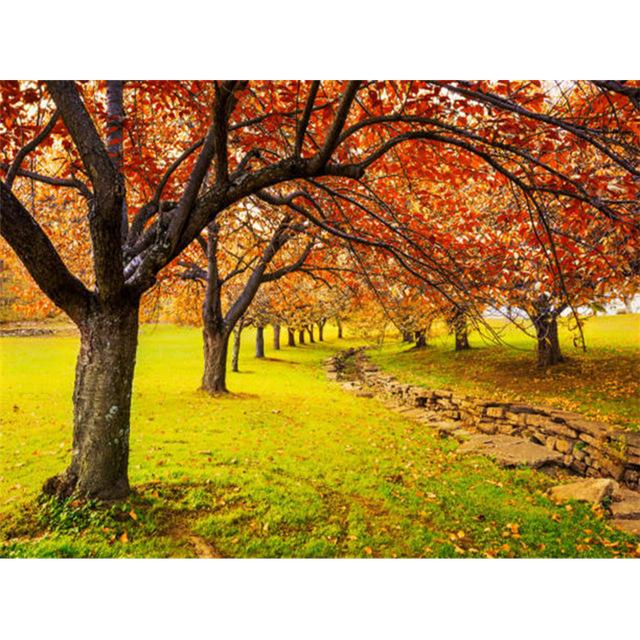 

DIY полная квадратная/круглая алмазная живопись 5D четыре сезона дерево лес весна лето осень зима украшение дома подарок вышивка крестиком Full Square 30X40CM