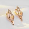 Sparking Micro-Set Natural Zircon Dangle Earrings For Women Fashion  Rose Gold Color Unique Design Daily Fine Jewelry